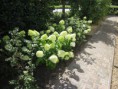/album/de-woning/afbeelding-009-jpg/